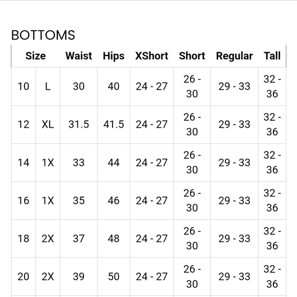 Ashley Stewart Tulle Maxi Skirt - Picture 4 of 4